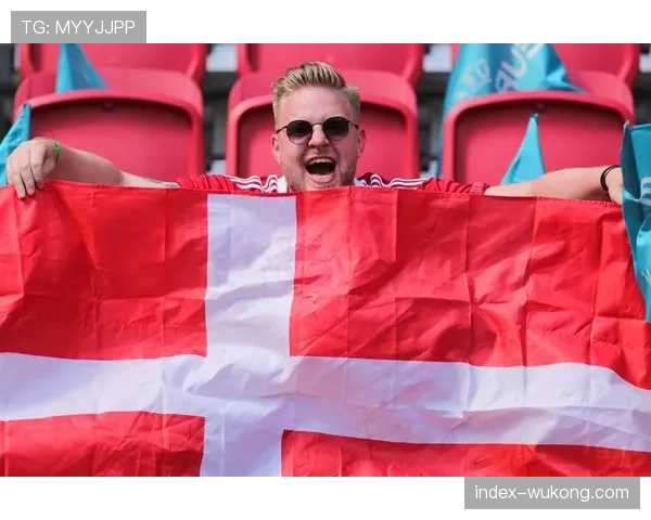 丹麦若晋级凭整体协作能力 防守反击战术效率突出