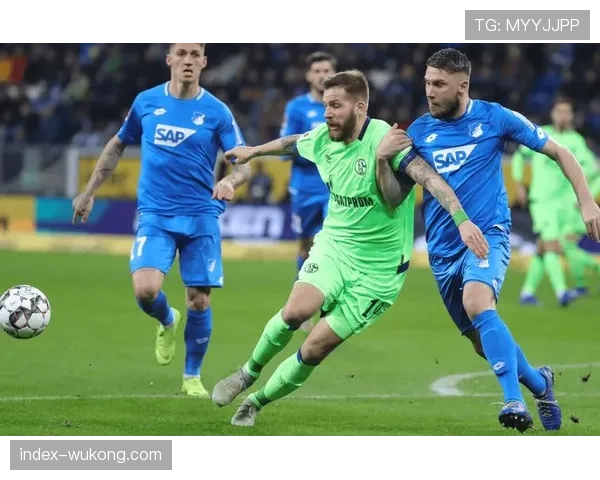 沙尔克04本赛季已遭六次点球判罚 俱乐部高层对判罚标准表达强烈不满